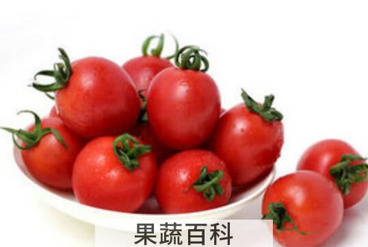 吃小番茄可以有哪些好处与坏处