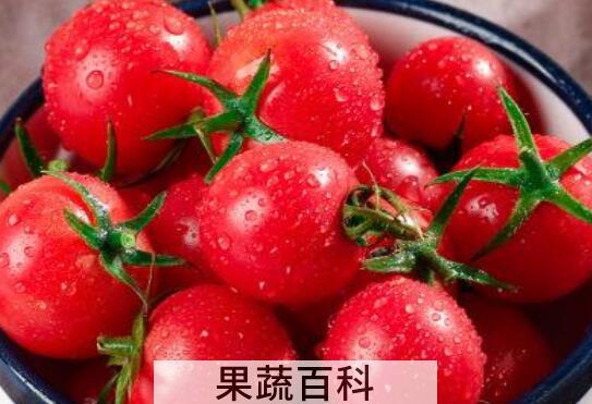 吃小番茄可以有哪些好处与坏处