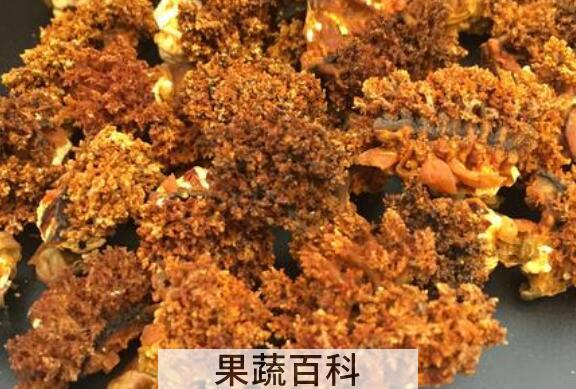 海参花的功效与作用 吃海参花的好处