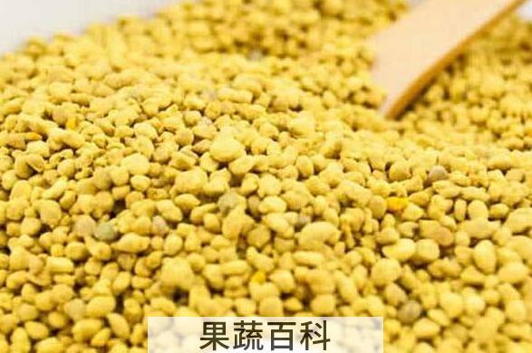 油菜花粉的功效与作用 油菜花粉怎么吃