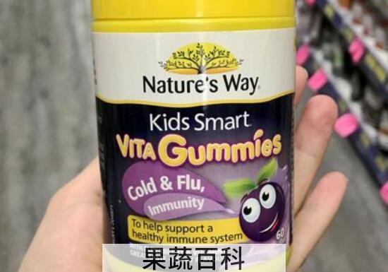接骨木莓软糖的功效与作用