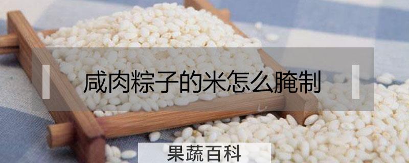 咸肉粽子的米怎么腌制