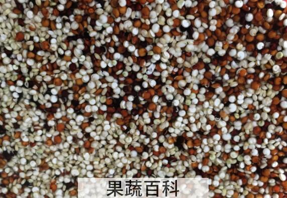 三色藜麦怎么煮好吃 三色藜麦的正确做法
