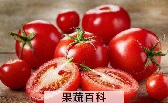吃西红柿的好处和坏处 西红柿的食疗作用