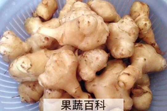 洋姜怎么做好吃 吃洋姜的禁忌