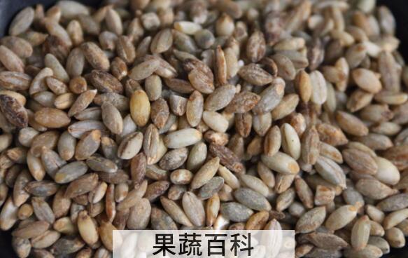 青米的营养价值及功效