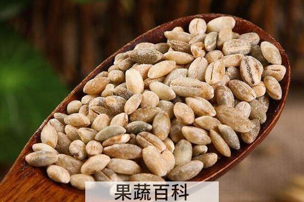 青稞米什么人不能吃 吃青稞米的禁忌