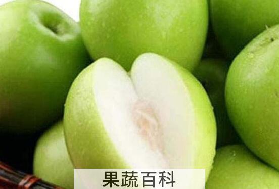 牛奶冬枣的功效与作用及禁忌
