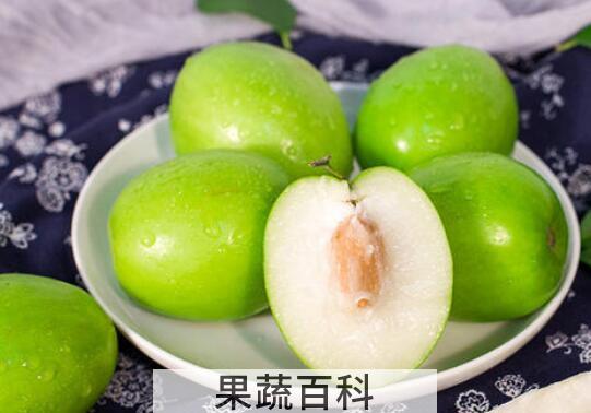 牛奶冬枣的功效与作用及禁忌