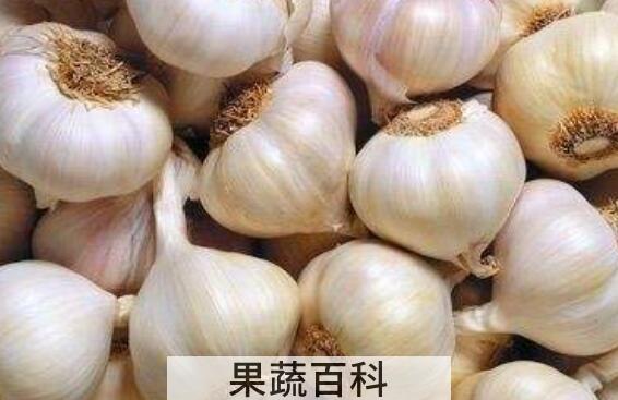 吃生蒜有什么好处 吃生蒜的功效与作用