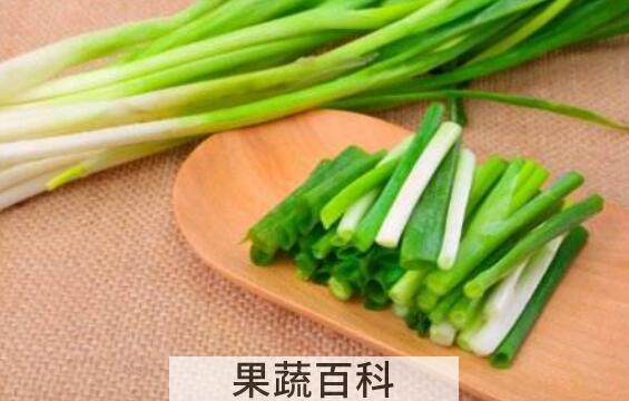 小葱的功效与作用 吃小葱的好处以及适合人群