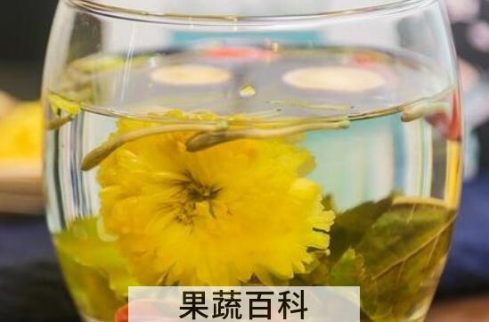 贡菊泡水喝有什么功效与作用
