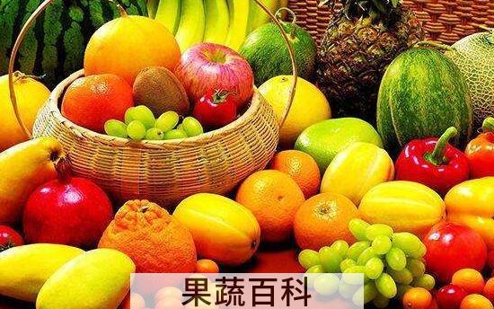 吃维生素C的好处和坏处 维生素C的禁忌