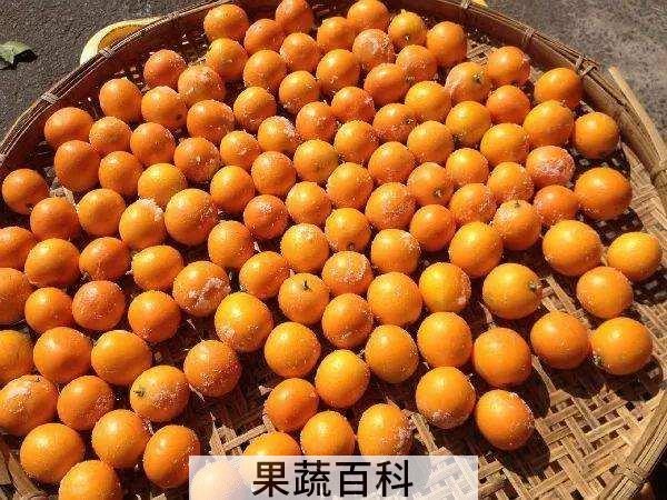 怎样制作顺序如何 咸金桔敲门公布