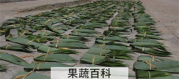 包粽子的叶子叫什么