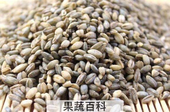 蓝青稞米怎么吃 蓝青稞米怎么做好吃