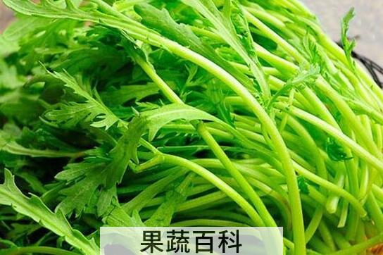 为什么男性要少吃茼蒿