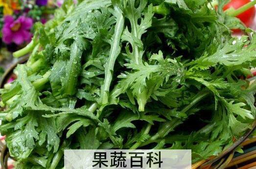 为什么男性要少吃茼蒿