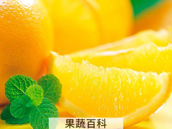柑子与橙子的区别 光滑粗糙一看便知