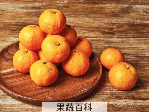 柑子和橘子的区别 剥皮就能判断