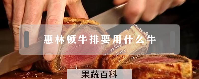 惠林顿牛排要用什么牛