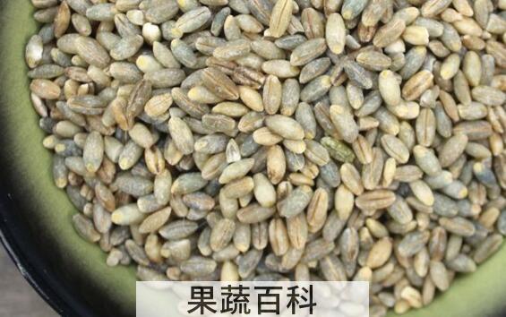 白青稞的功效与作用