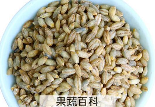 蓝青稞米与白青稞米的区别 吃青稞米的好处