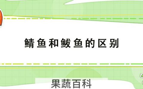 鲭鱼和鲅鱼的区别