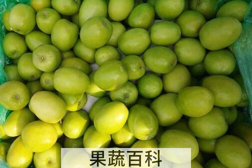 云南青枣的功效与作用