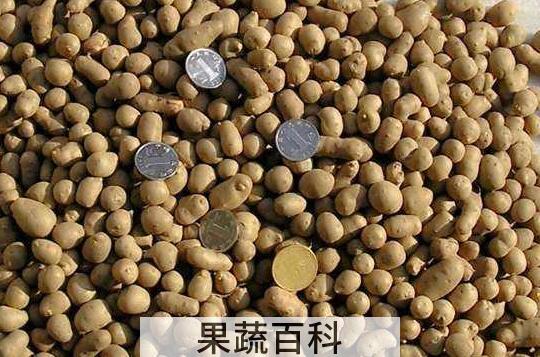 吃山药豆的好处和坏处 山药豆的营养价值