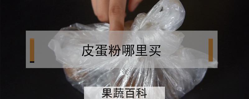 皮蛋粉哪里买