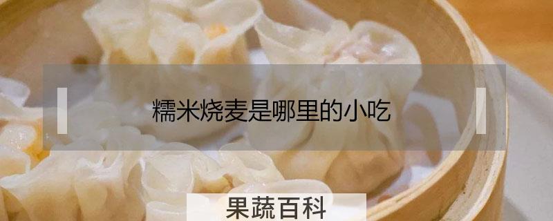 糯米烧麦是哪里的小吃