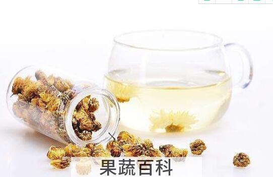 女性喝胎菊有啥好处