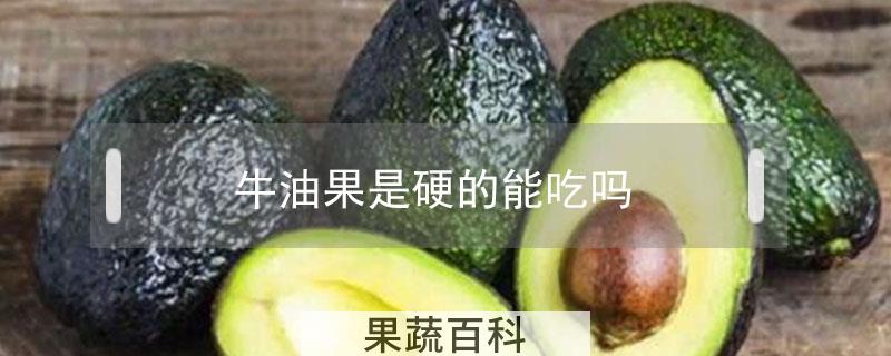牛油果是硬的能吃吗
