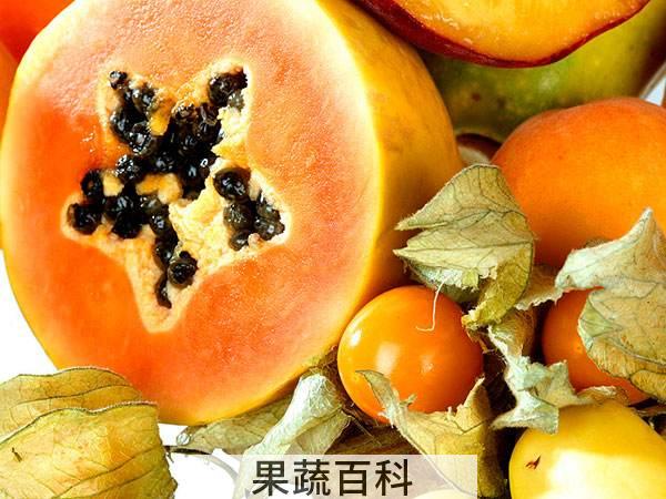 通经活络之法 木瓜怎么吃最丰胸