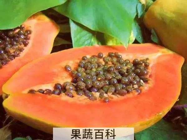 通经活络之法 木瓜怎么吃最丰胸