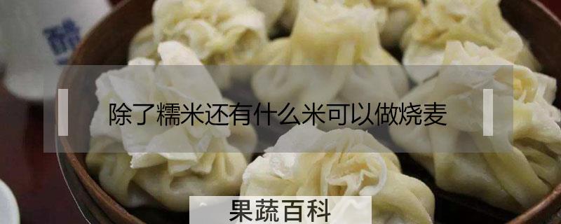 除了糯米还有什么米可以做烧麦