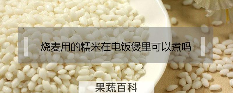烧麦用的糯米在电饭煲里可以煮吗