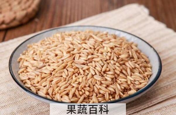 滑燕麦米怎么吃 滑燕麦米的食用方法