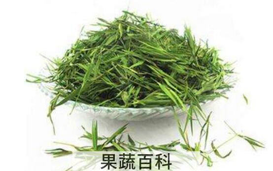 竹叶青茶怎么泡 竹叶青茶的正确泡法