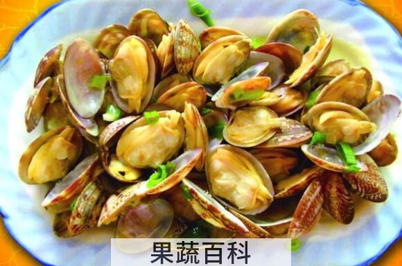 文蛤的功效与作用 吃文蛤的好处有哪些