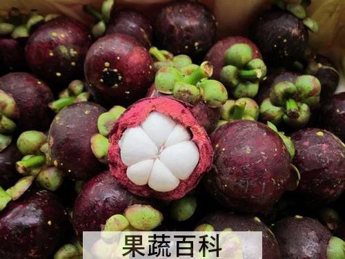 避免死竹挑选新果 山竹怎么吃