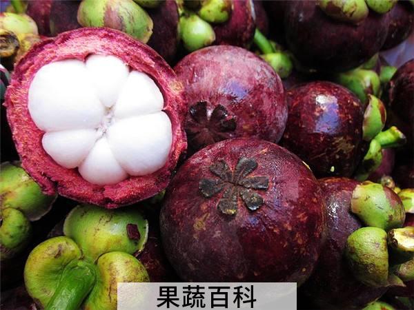避免死竹挑选新果 山竹怎么吃