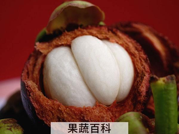 避免死竹挑选新果 山竹怎么吃