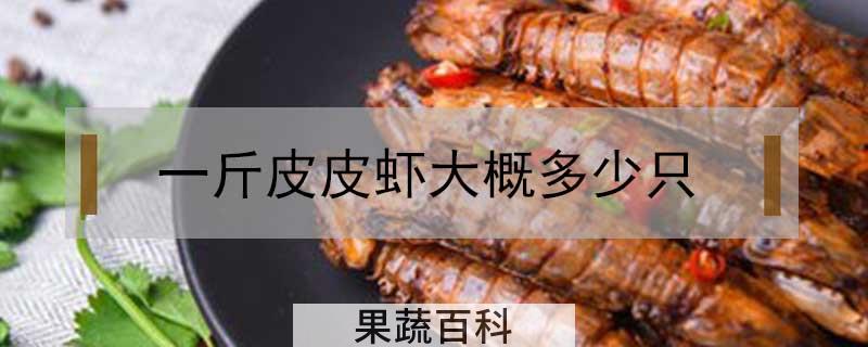 一斤皮皮虾大概多少只