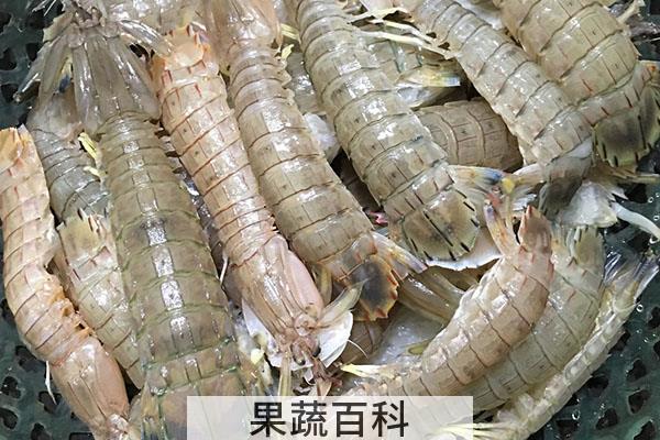 一斤皮皮虾大概多少只