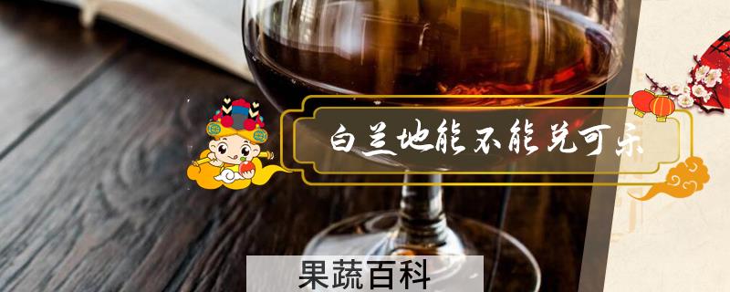 白兰地能不能兑可乐