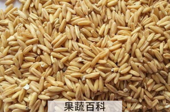 燕麦米的功效与作用 燕麦米的禁忌