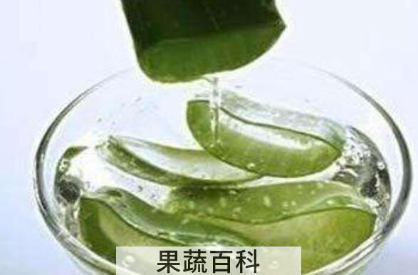 «荟汁的功效与作用及禁忌