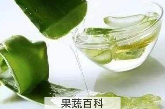 «荟汁的功效与作用及禁忌